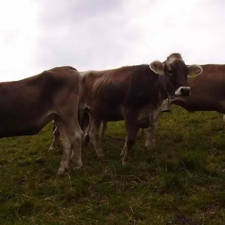 Ferienhuette Kaelberweide