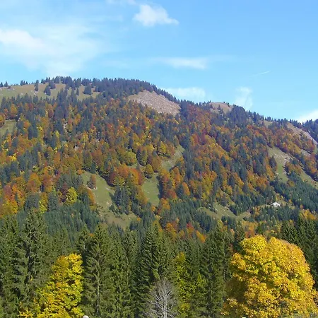 Ferienhuette Kaelberweide Hittisau
