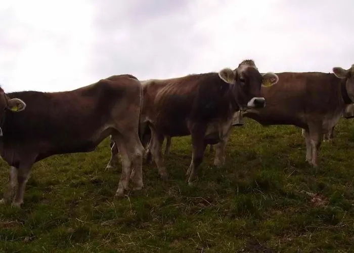 Ferienhuette Kaelberweide